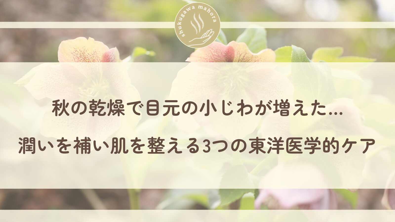 秋の乾燥による目元の小じわを気にする女性・東洋医学的ケアで潤いを補う方法・夙川まほら鍼きゅう院