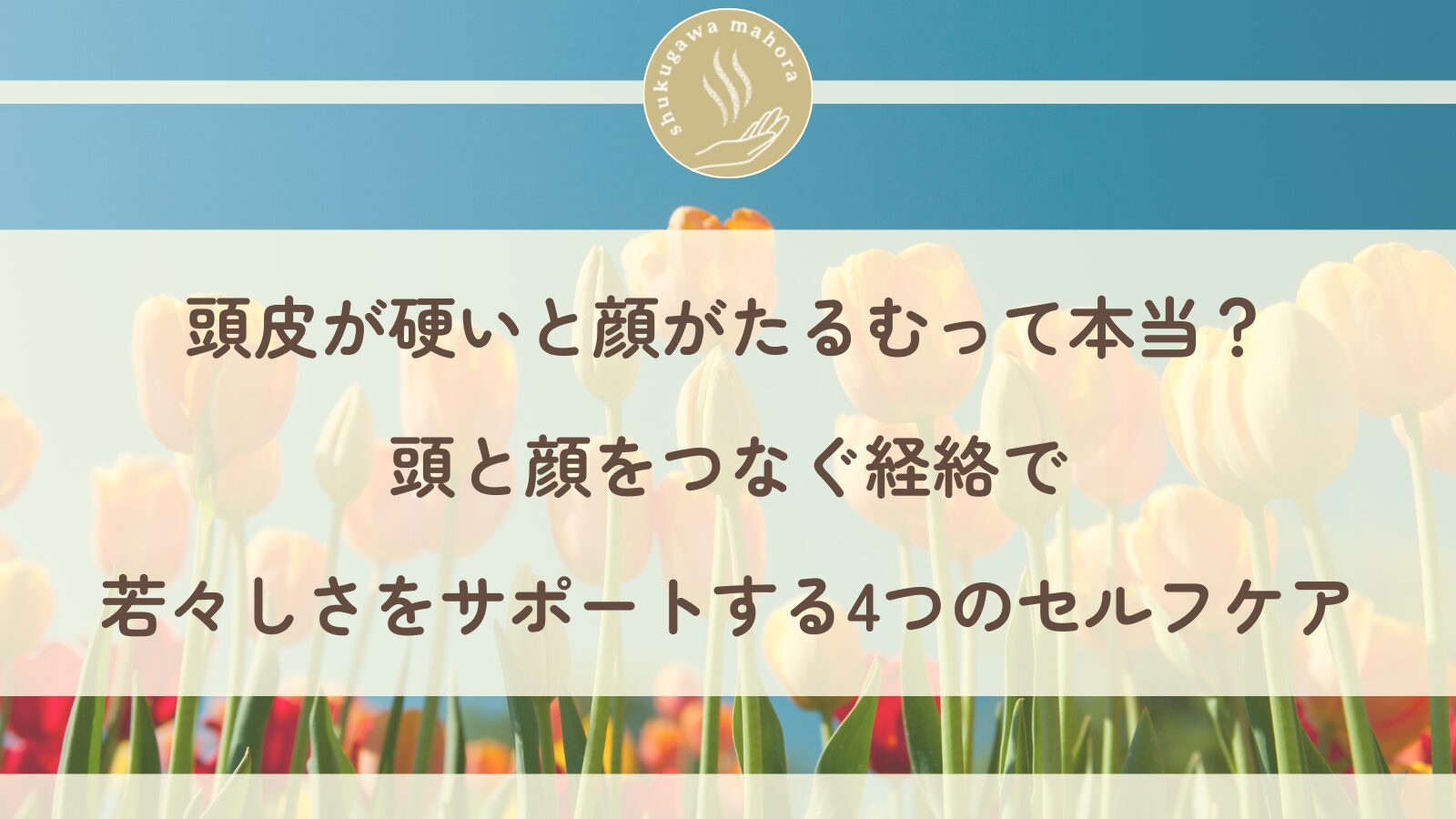 頭皮ケアで顔のたるみをサポートする経絡セルフケアを紹介する西宮市夙川の鍼灸院ブログ